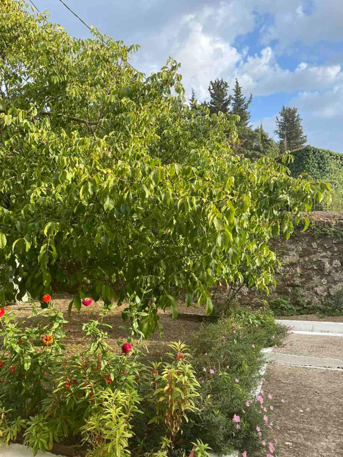 Anesis Villa Asprogerakata Екстериор снимка